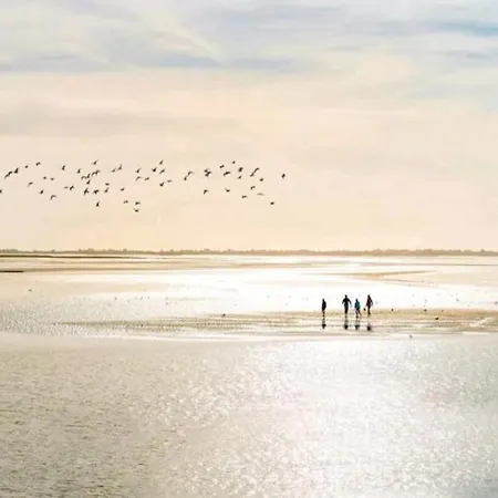 度假居 Maison Calme Terrasse Et Jardin Vue Foret 阿棉