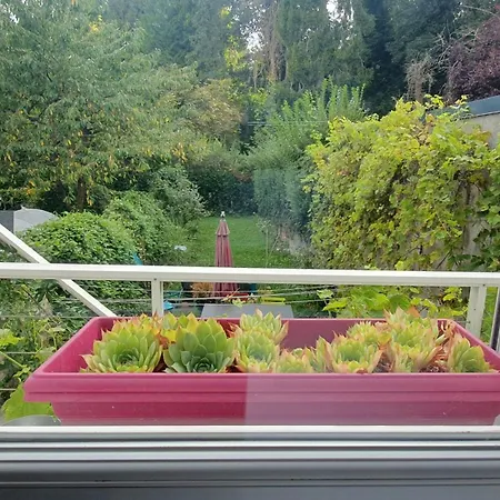 Maison Calme Terrasse Et Jardin Vue Forêt Amiens